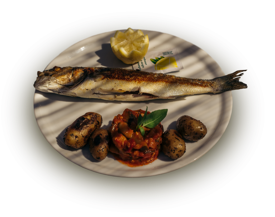 Le restaurant - Le Tropicana - Marseille - Meilleur restaurant marseille