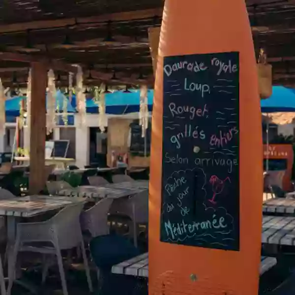 Galerie Photos - Le Tropicana - Restaurant Marseille - Restaurant plage pointe rouge