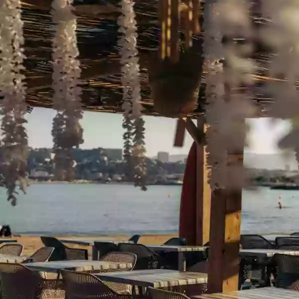 Galerie Photos - Le Tropicana - Restaurant Marseille - Meilleur restaurant marseille