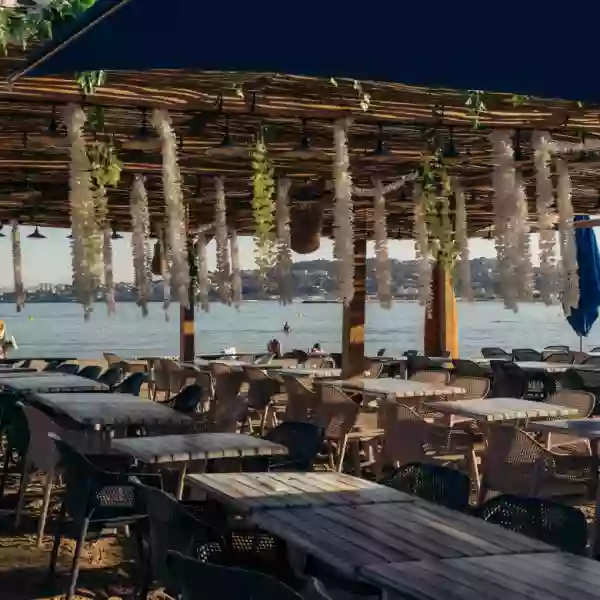 Galerie Photos - Le Tropicana - Restaurant Marseille - Restaurant sympa Marseille
